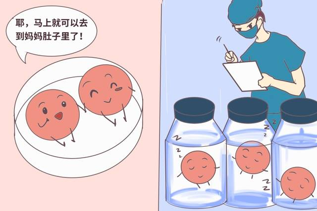 哪些胚胎可用于移植？了解下！