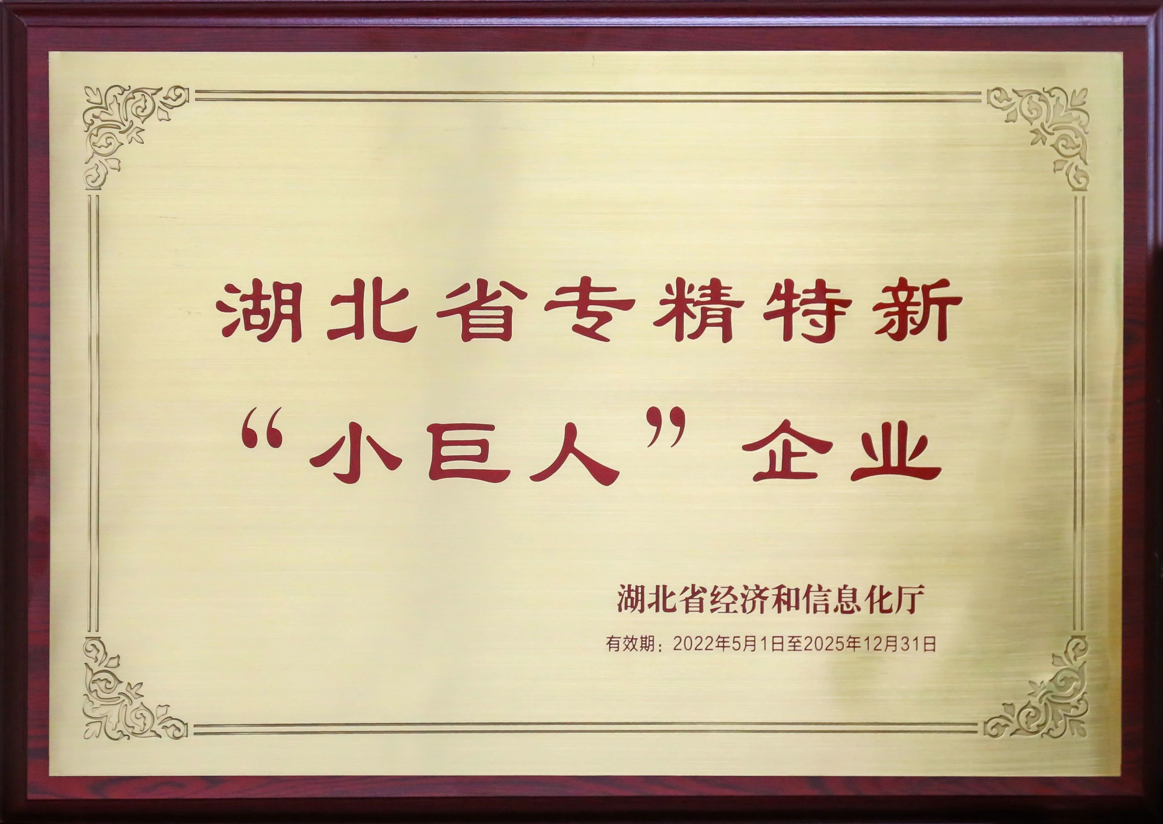 盤點新疆26省聯(lián)盟集采，湖北東信擬中選（婦科）品種數(shù)量名列榜首
